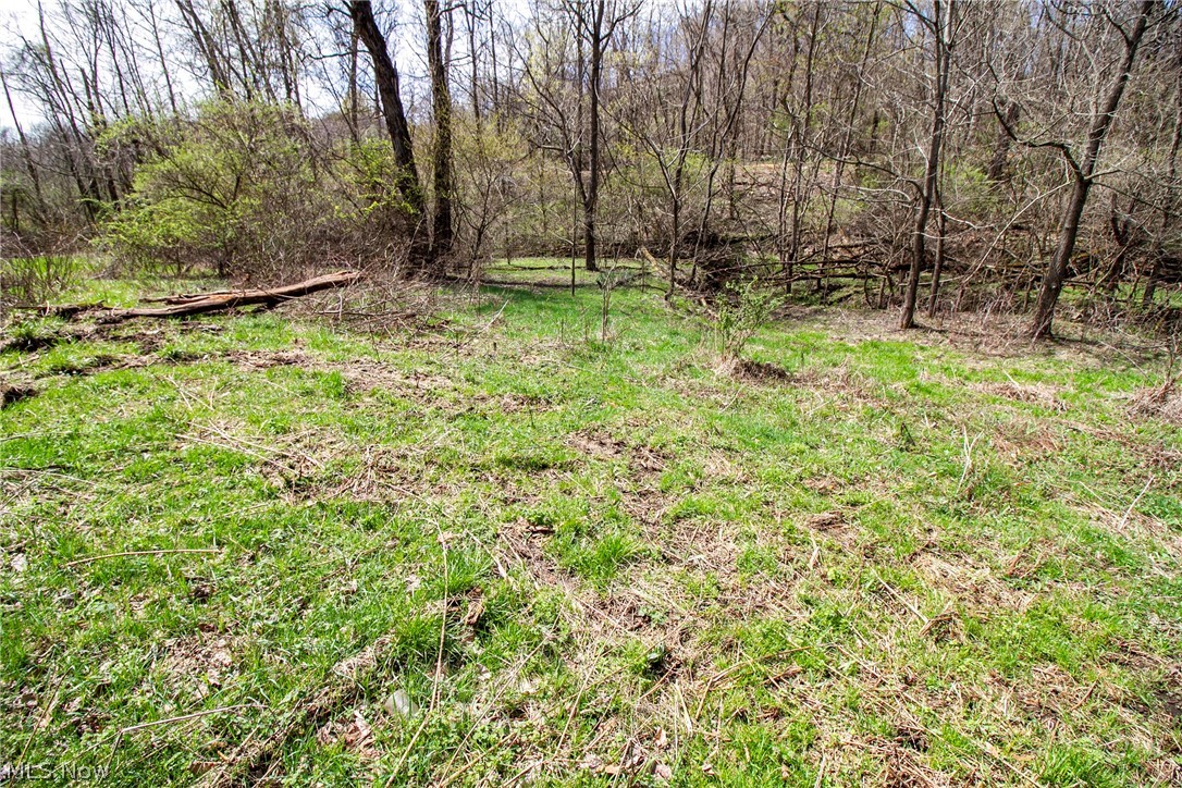 11-ac Whiskey Run Road Quaker City, OH 43773 - Photo 20 of 35