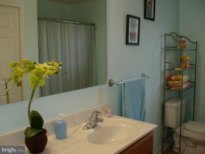 156 Cherry Grove Road Earleville, MD 21919 - Photo 4 of 20 Guest Bath