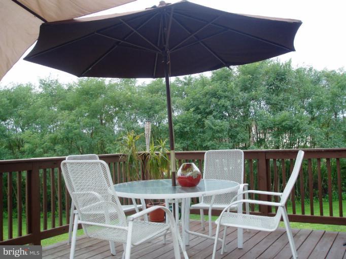 156 Cherry Grove Road Earleville, MD 21919 - Photo 7 of 20 Back Deck off Kitchen