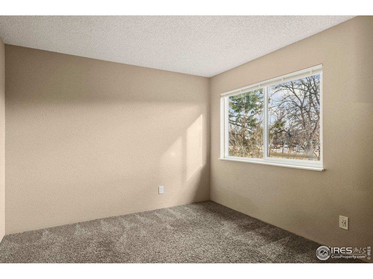 1705 Heatheridge Road, Unit 103 Fort Collins, CO 80526 - Photo 11 of 16 an empty room with windows