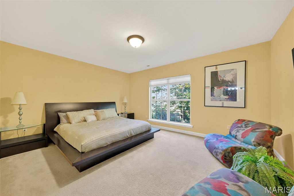 14623 Kendall Ridge Drive Chesterfield, MO 63017 - Photo 23 of 27