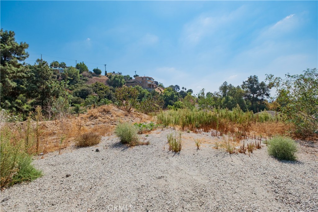 13570 Turnbull Canyon Road Whittier, CA 90601 - Photo 3 of 15 a view of a dry yard with lots of green space