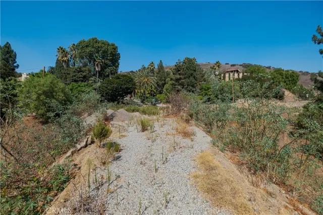 a view of a dry yard with trees in the background