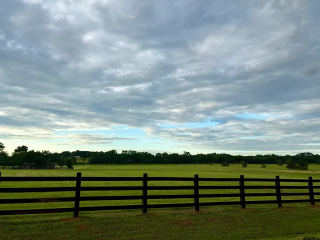 a view of a big yard with wooden fence