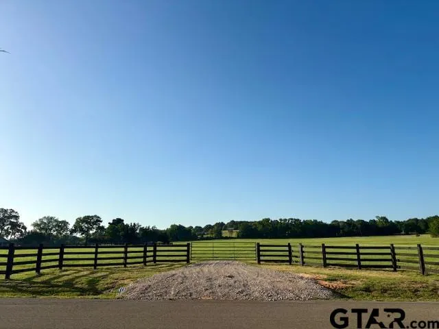 a view of a yard with a street