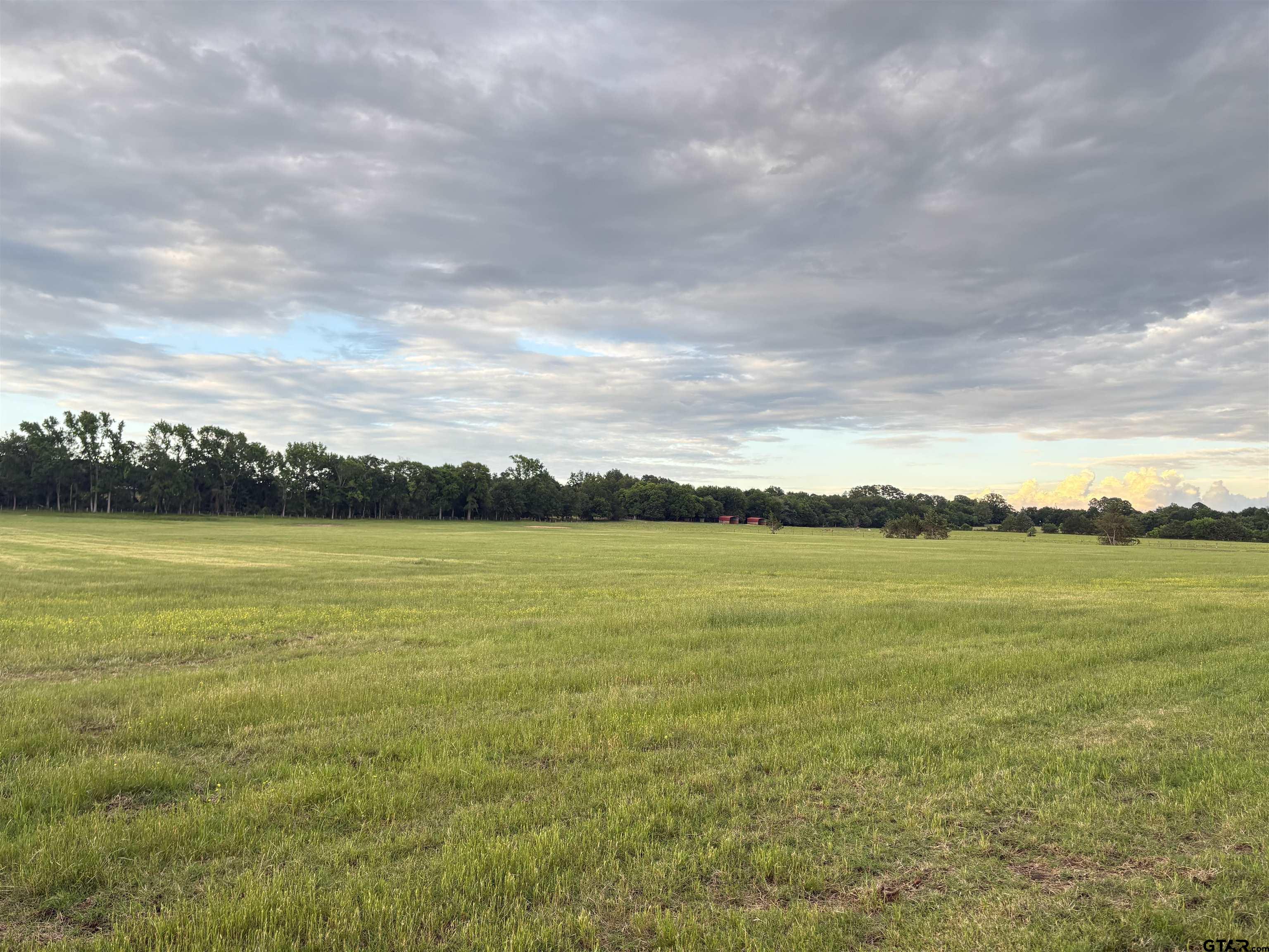 12640 County Road 185 Flint, TX 75762 - Photo 9 of 12 a view of an ocean from a lake