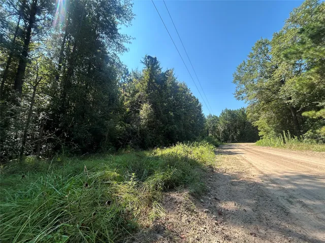 a view of outdoor space with trees all around