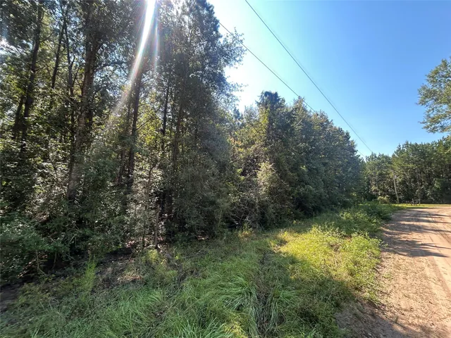 a view of yard with green space