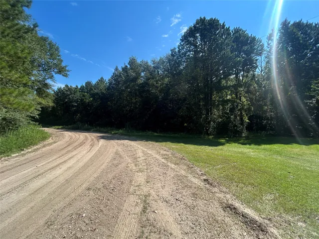 a view of backyard with green space
