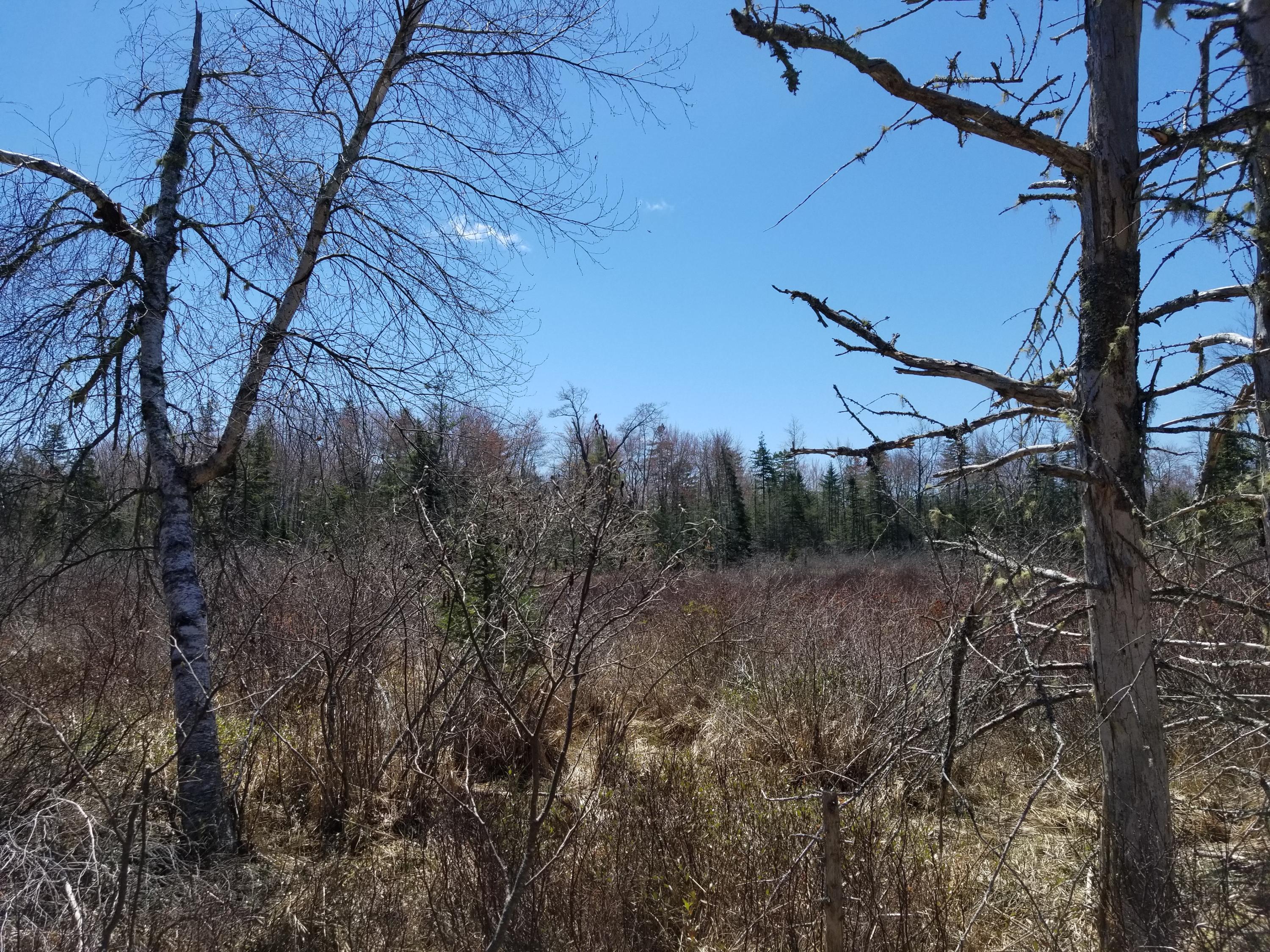 160 Southern Bay Road Penobscot, ME 04476 - Photo 30 of 62 30 meadow view