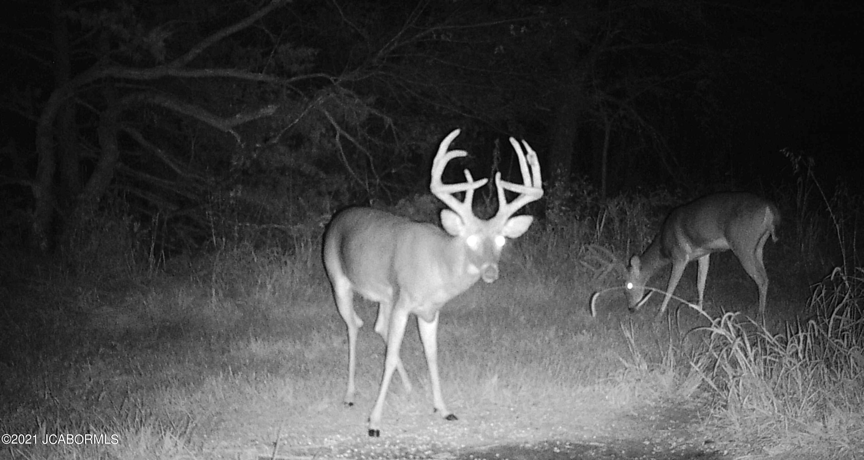 60924 Red Bird Road Jamestown, MO 65046 - Photo 22 of 50