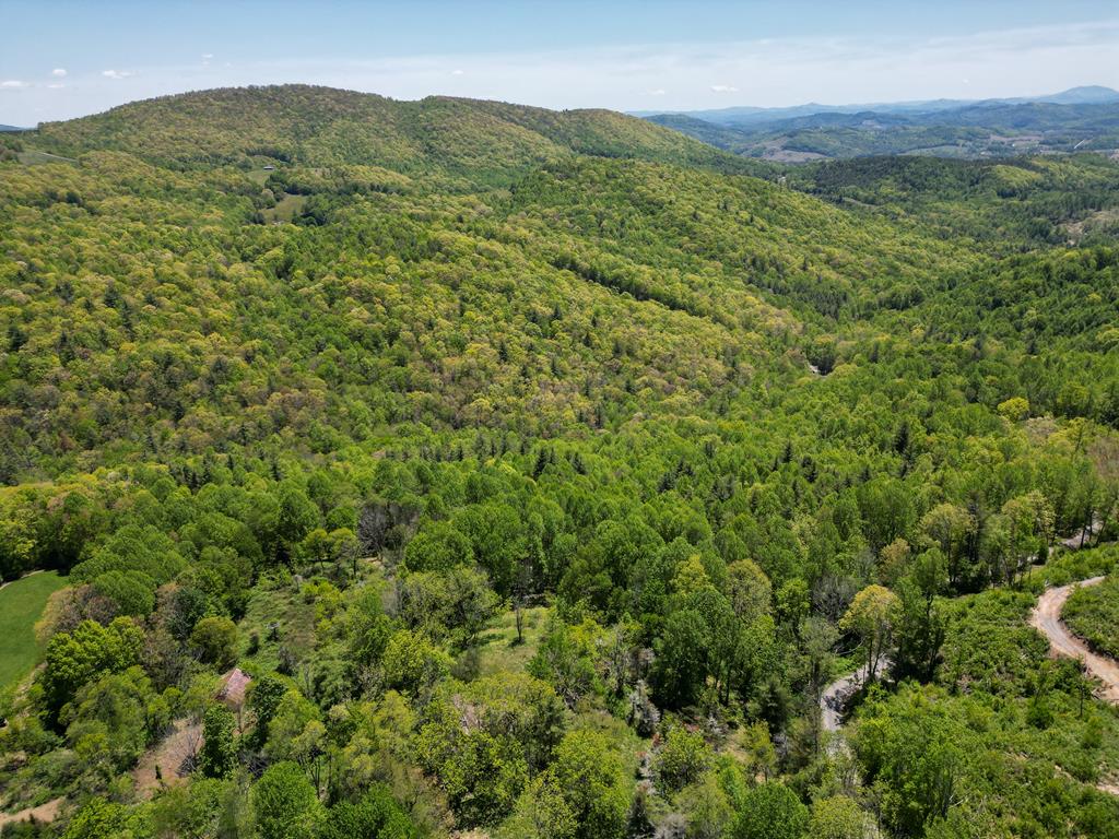 Tbd Ripshin Road, Unit 14D Troutdale, VA 24378 - Photo 24 of 30 Gallery Image 24