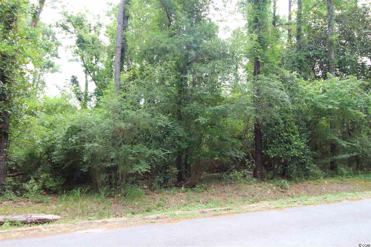 31-32 Sellers Road Conway, SC 29526 - Photo 1 of 8 Gallery Image 1