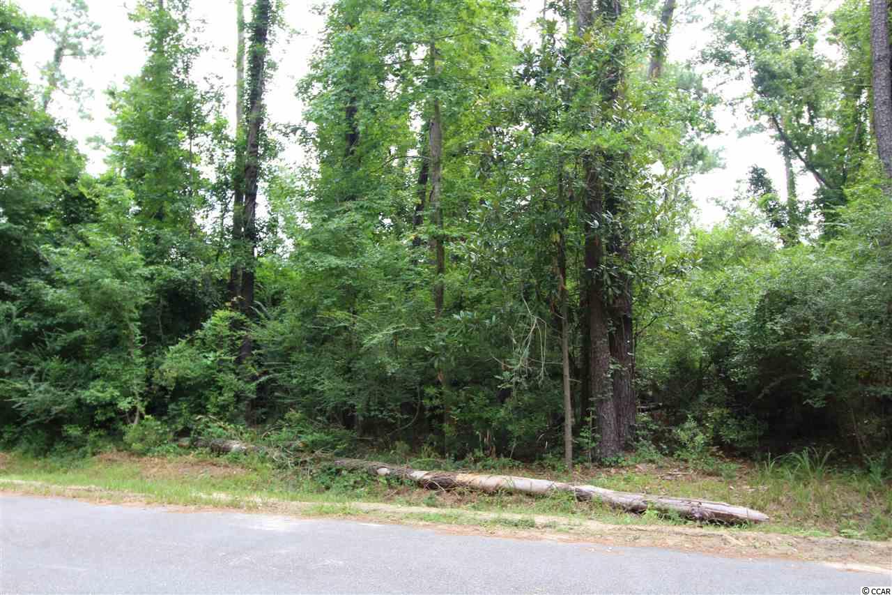 31-32 Sellers Road Conway, SC 29526 - Photo 2 of 8 Gallery Image 2