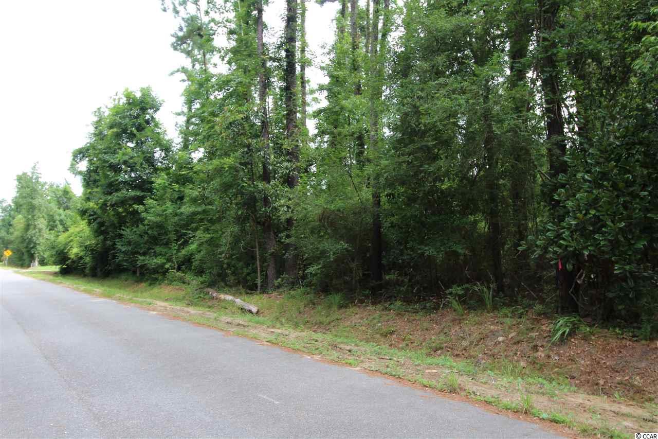 31-32 Sellers Road Conway, SC 29526 - Photo 3 of 8 Gallery Image 3