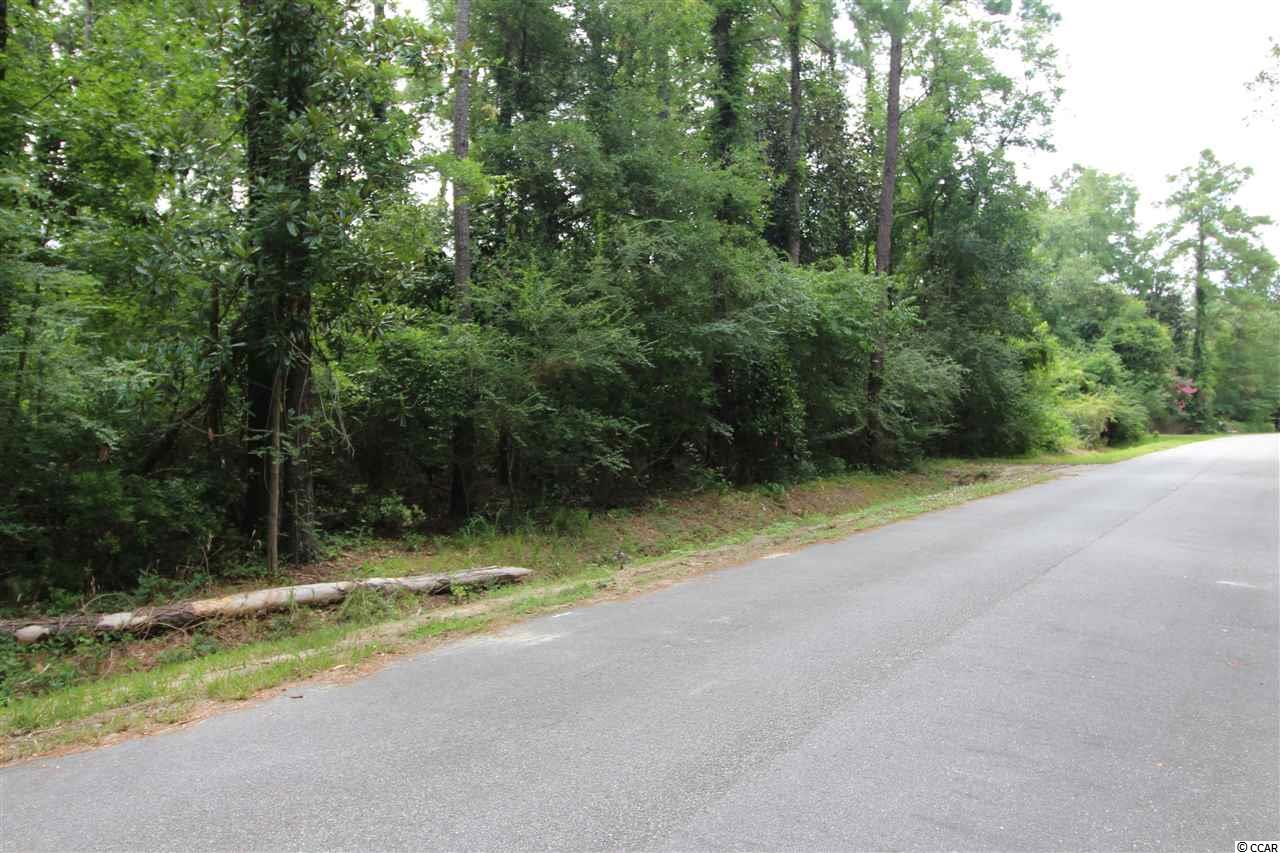 31-32 Sellers Road Conway, SC 29526 - Photo 5 of 8 Gallery Image 5