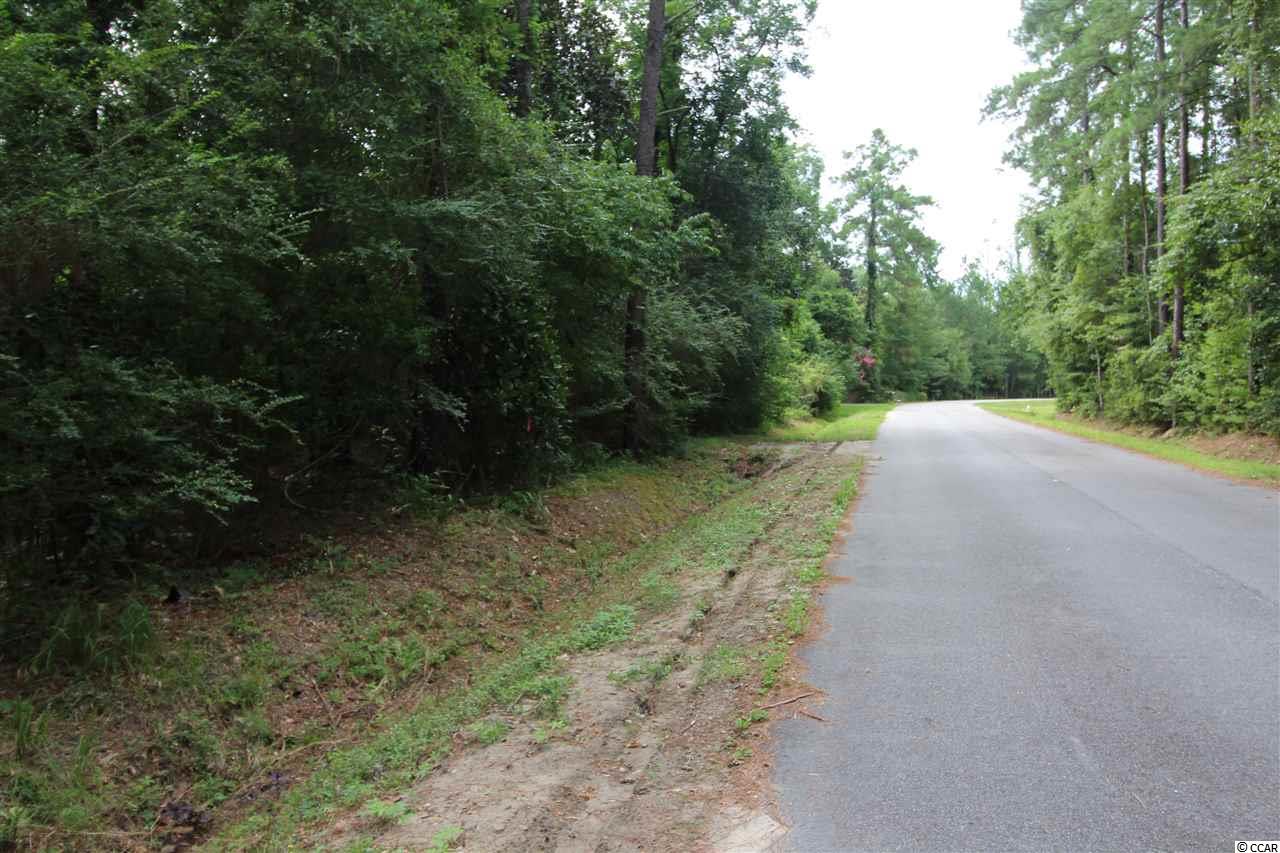 31-32 Sellers Road Conway, SC 29526 - Photo 6 of 8 Gallery Image 6