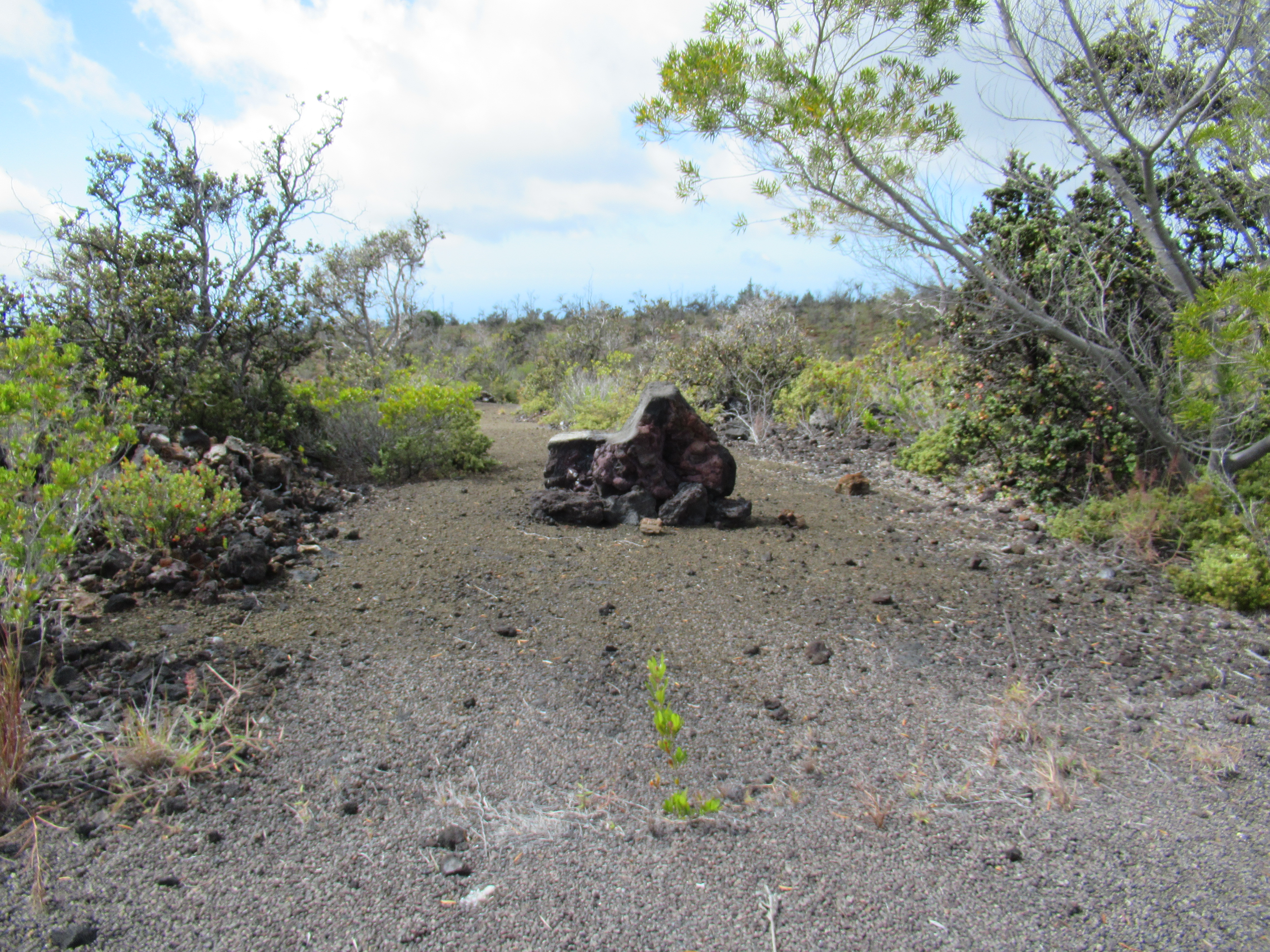 16 Iwalani Parkway Ocean View, HI 96704 - Photo 2 of 2 a view of fire pit with large trees