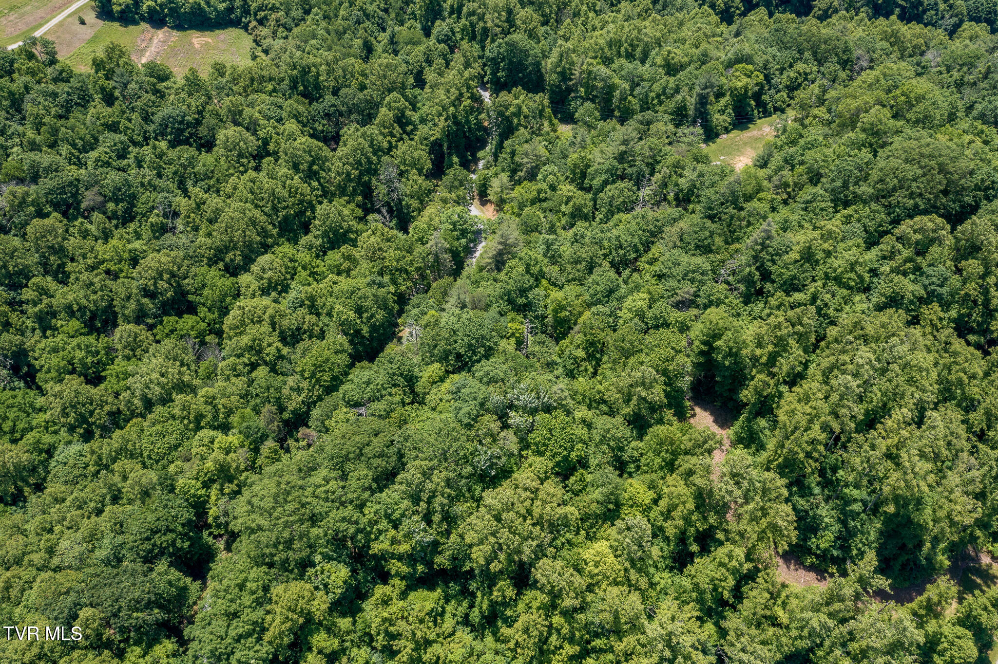 3 Ridgetop Lane, Unit 3 Unicoi, TN 37692 - Photo 14 of 20 Lot 2 Ridgetop Ln (30 of 47)