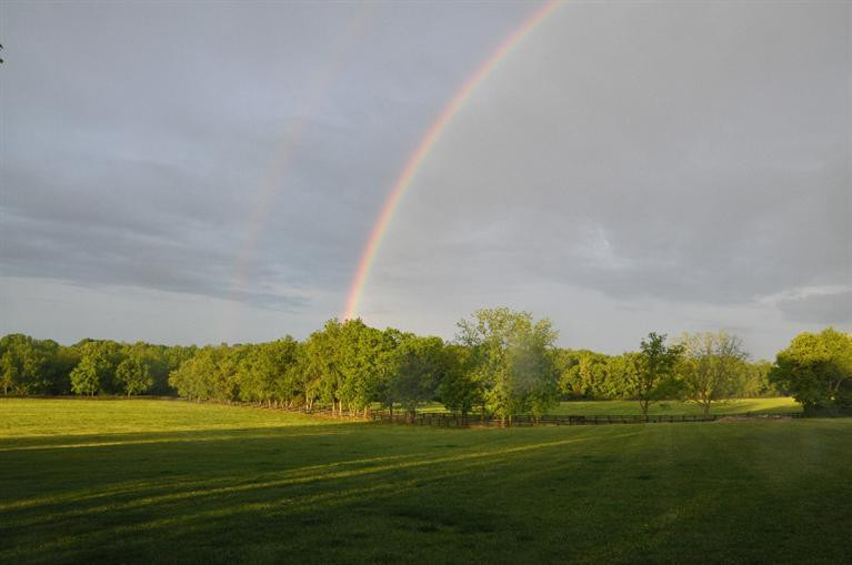 570 Clay Kiser Road Paris, KY 40361 - Photo 23 of 26 Photo 23