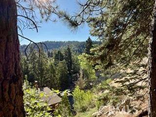 872 Sierra Vista Drive Twin Peaks, CA 92391 - Photo 2 of 37 a view of a yard with a tree