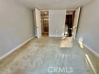 a view of a tree in a yard