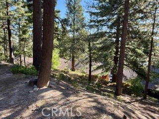 872 Sierra Vista Drive Twin Peaks, CA 92391 - Photo 28 of 37 a view of a tree