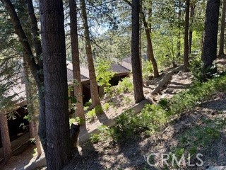 872 Sierra Vista Drive Twin Peaks, CA 92391 - Photo 29 of 37 a view of a tree in a yard