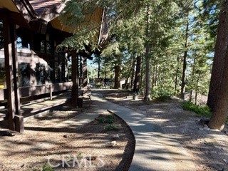 872 Sierra Vista Drive Twin Peaks, CA 92391 - Photo 32 of 37 a view of a tree in the middle of a yard