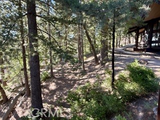 872 Sierra Vista Drive Twin Peaks, CA 92391 - Photo 33 of 37 a view of outdoor space with trees