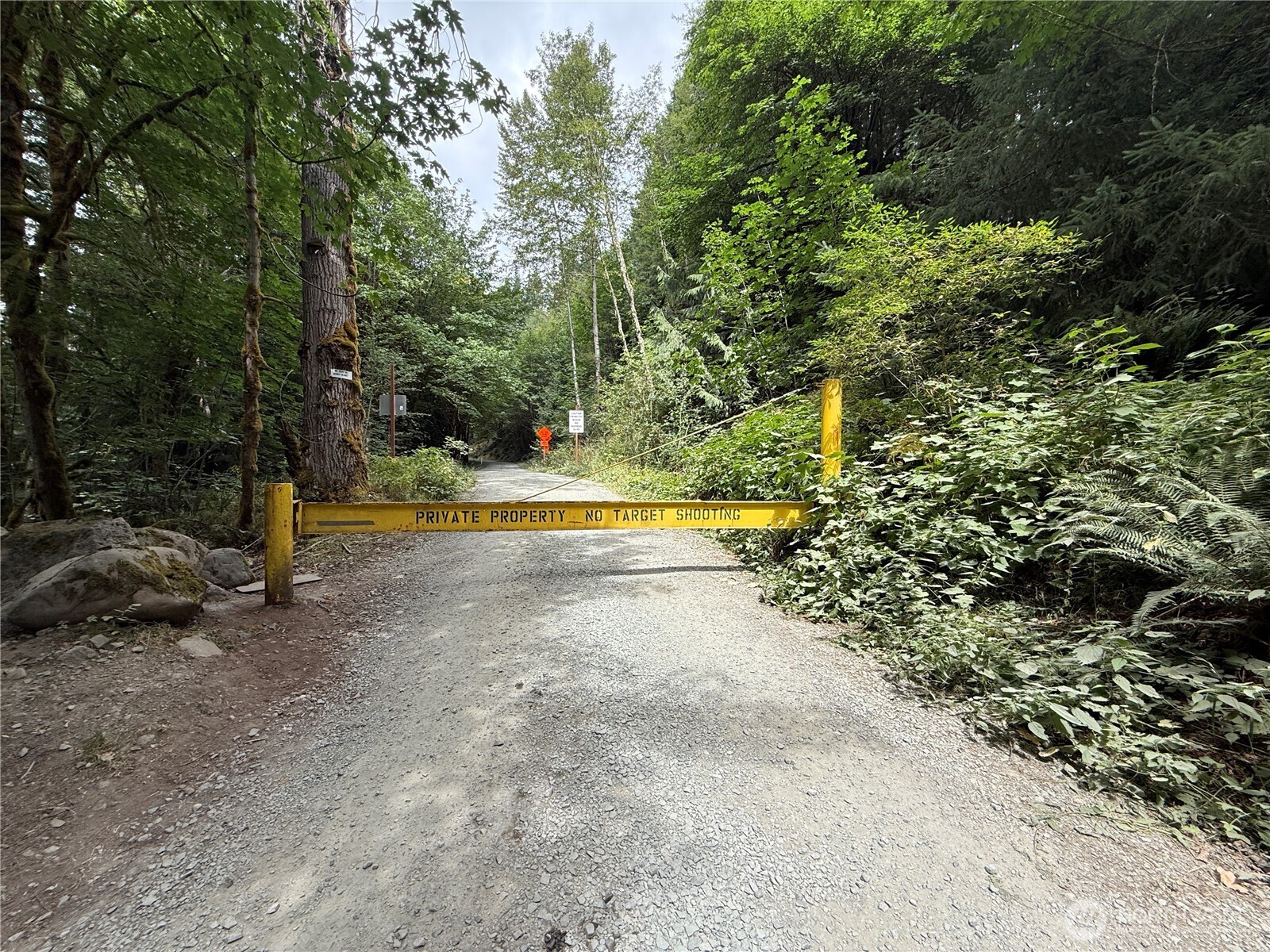a view of yard with green space