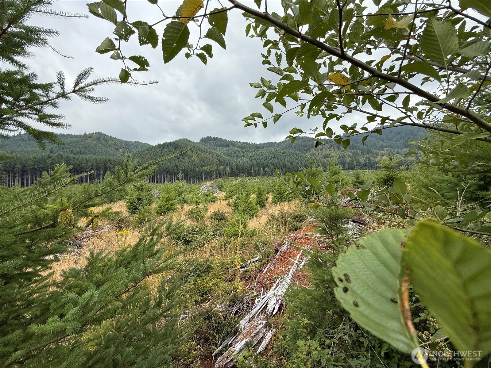 327-xx Kolisch Road East Carbonado, WA 98323 - Photo 3 of 10 a view of lake with mountain