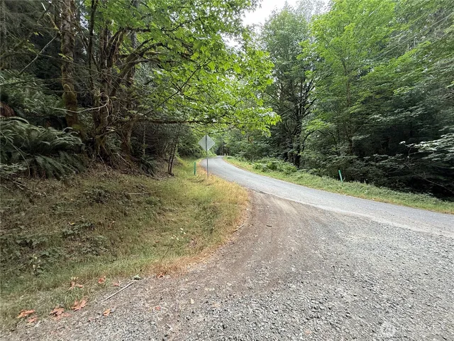 a view of a dirt road with trees in the background