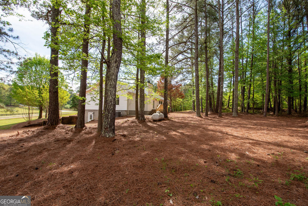 598 Beavers Road Grantville, GA 30220 - Photo 43 of 58