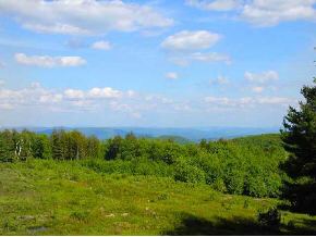 1371 Fisch Road Marlboro, VT 05344 - Photo 1 of 1