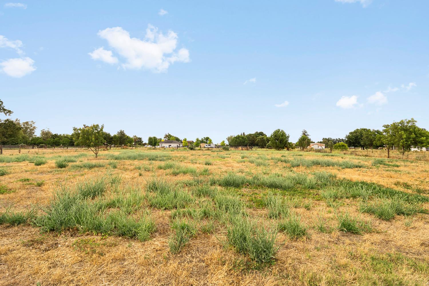 3262 McCoy Road Colusa, CA 95932 - Photo 45 of 56