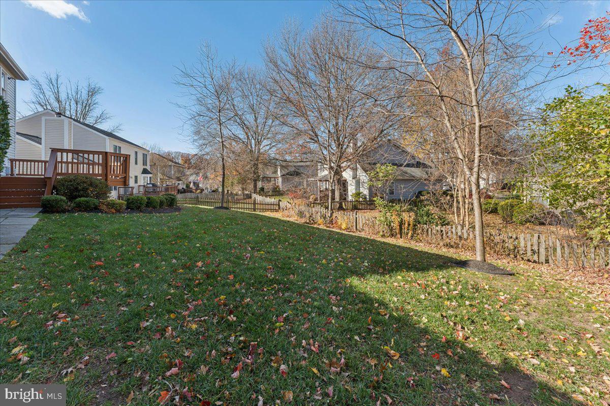 12546 Rock Ridge Road Herndon, VA 20170 - Photo 39 of 44 a view of yard with tree