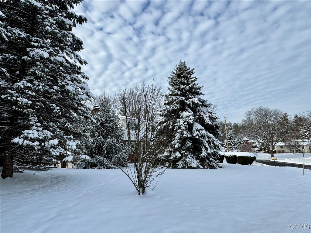 11 Northridge Road DeWitt, NY 13214 - Photo 41 of 43 Side view, and looking out to Northridge Rd