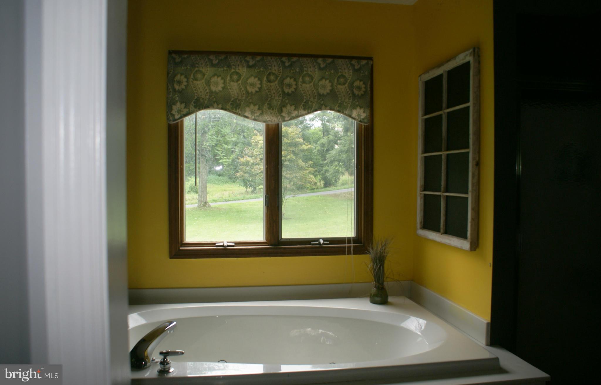 387 Rest Church Road Winchester, VA 22603 - Photo 15 of 19 Bath (Master)