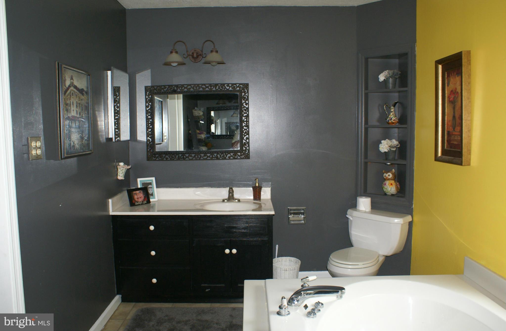 387 Rest Church Road Winchester, VA 22603 - Photo 17 of 19 Bath (Master)