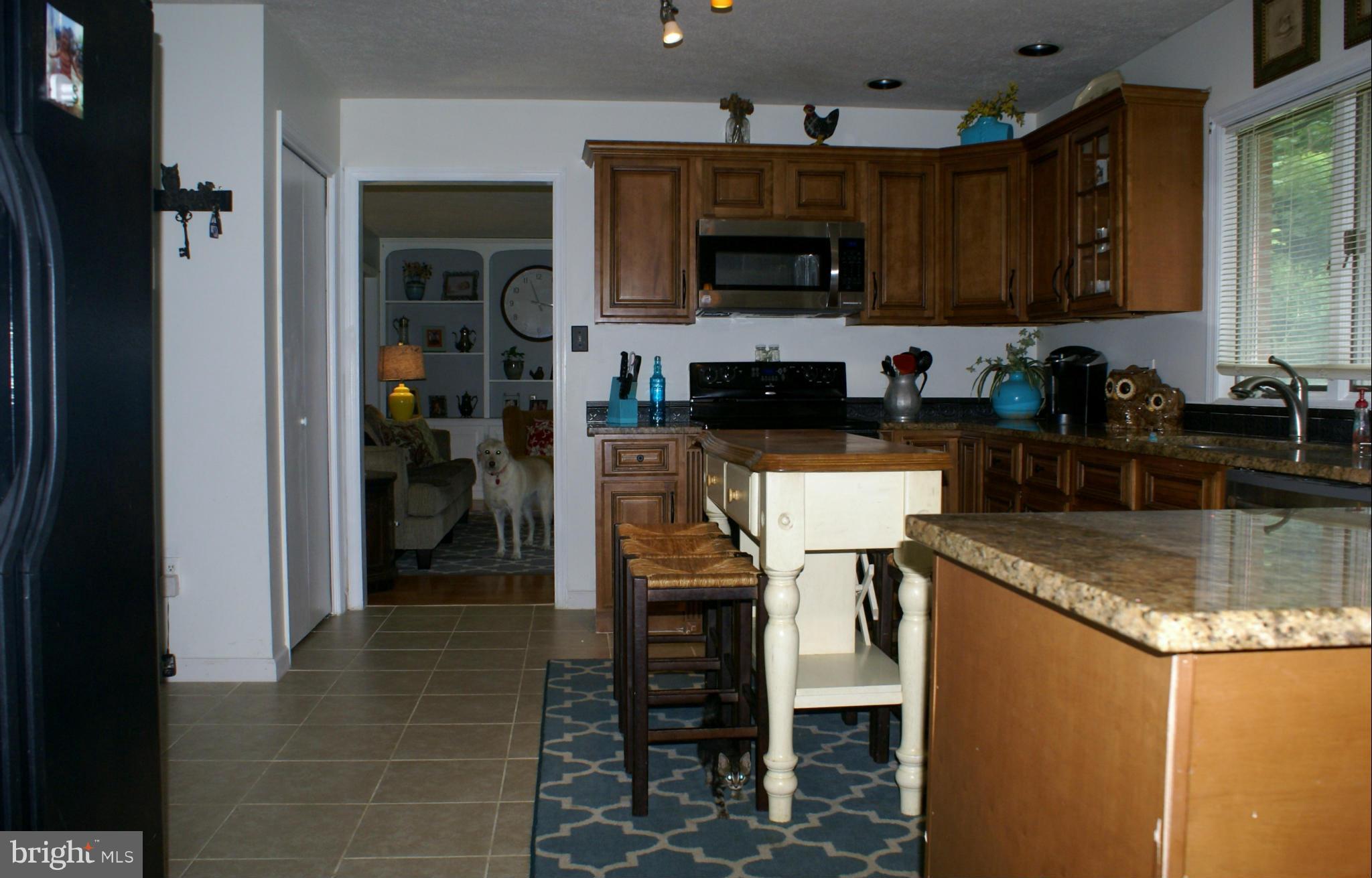 387 Rest Church Road Winchester, VA 22603 - Photo 4 of 19 Kitchen