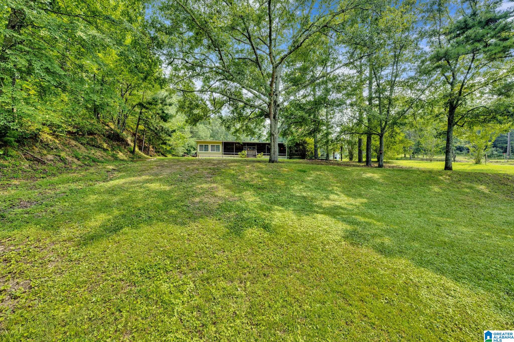 144 Teddy Road Oneonta, AL 35121 - Photo 12 of 52