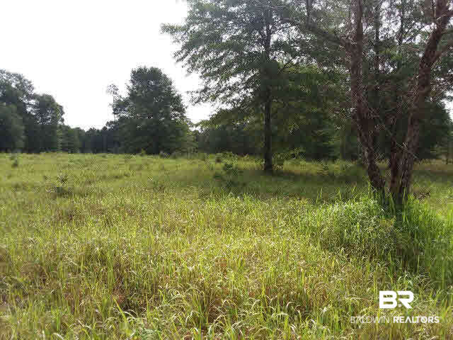 0 Roberts Road Chunchula, AL 36521 - Photo 6 of 7
