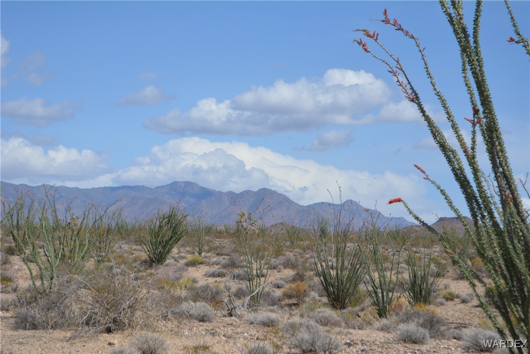 245-24-107 South Rainbow Road Yucca, AZ 86438 - Photo 67 of 91