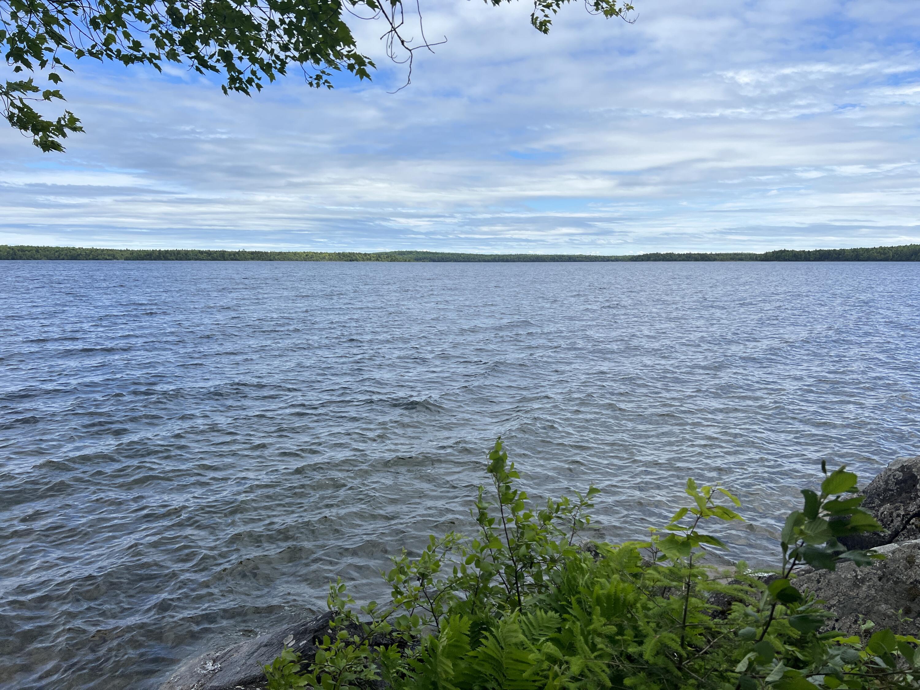 0 Lake Drive Cathance Township, ME 04657 - Photo 1 of 23 IMG_5445