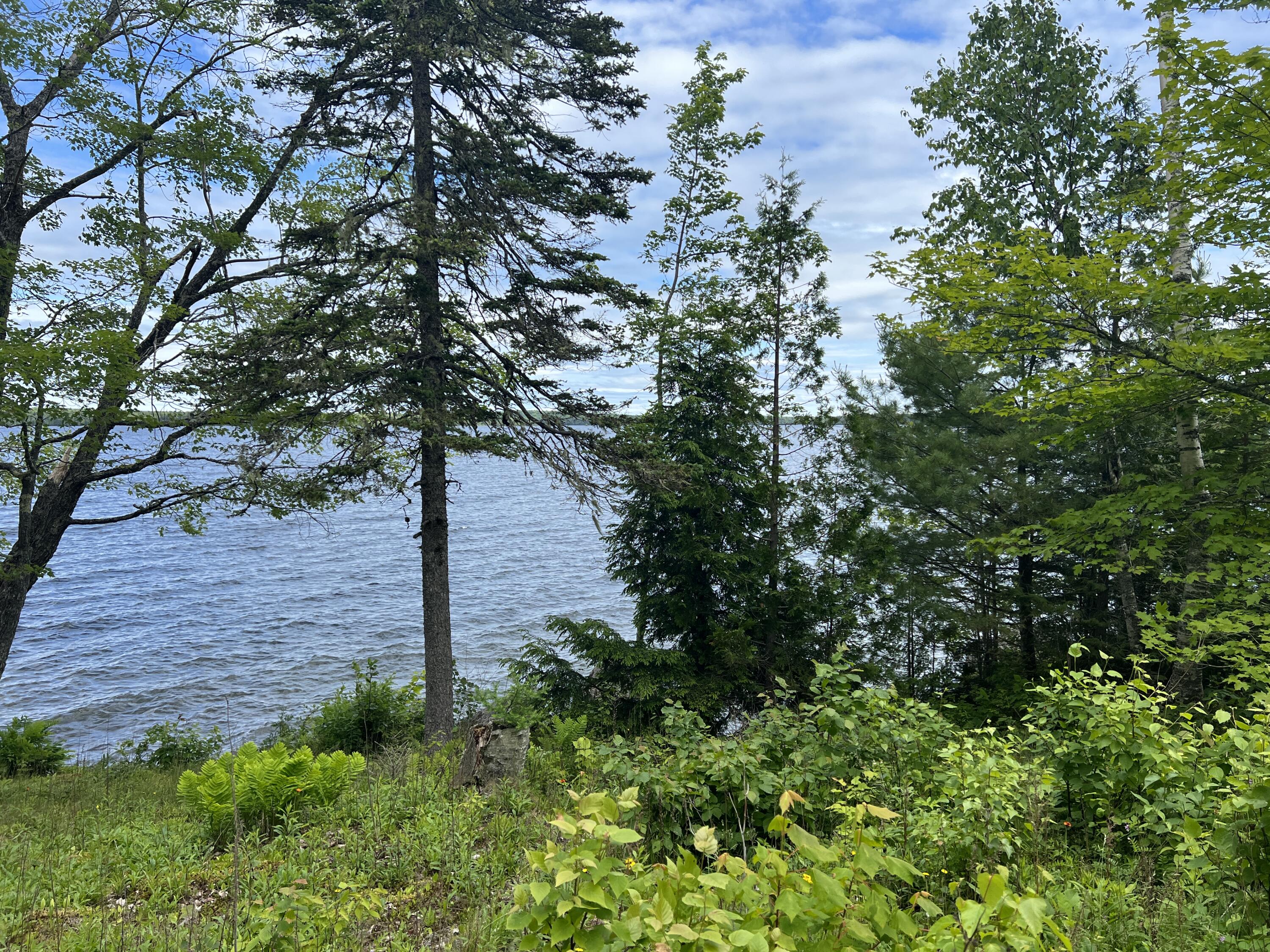 0 Lake Drive Cathance Township, ME 04657 - Photo 17 of 23 IMG_5444