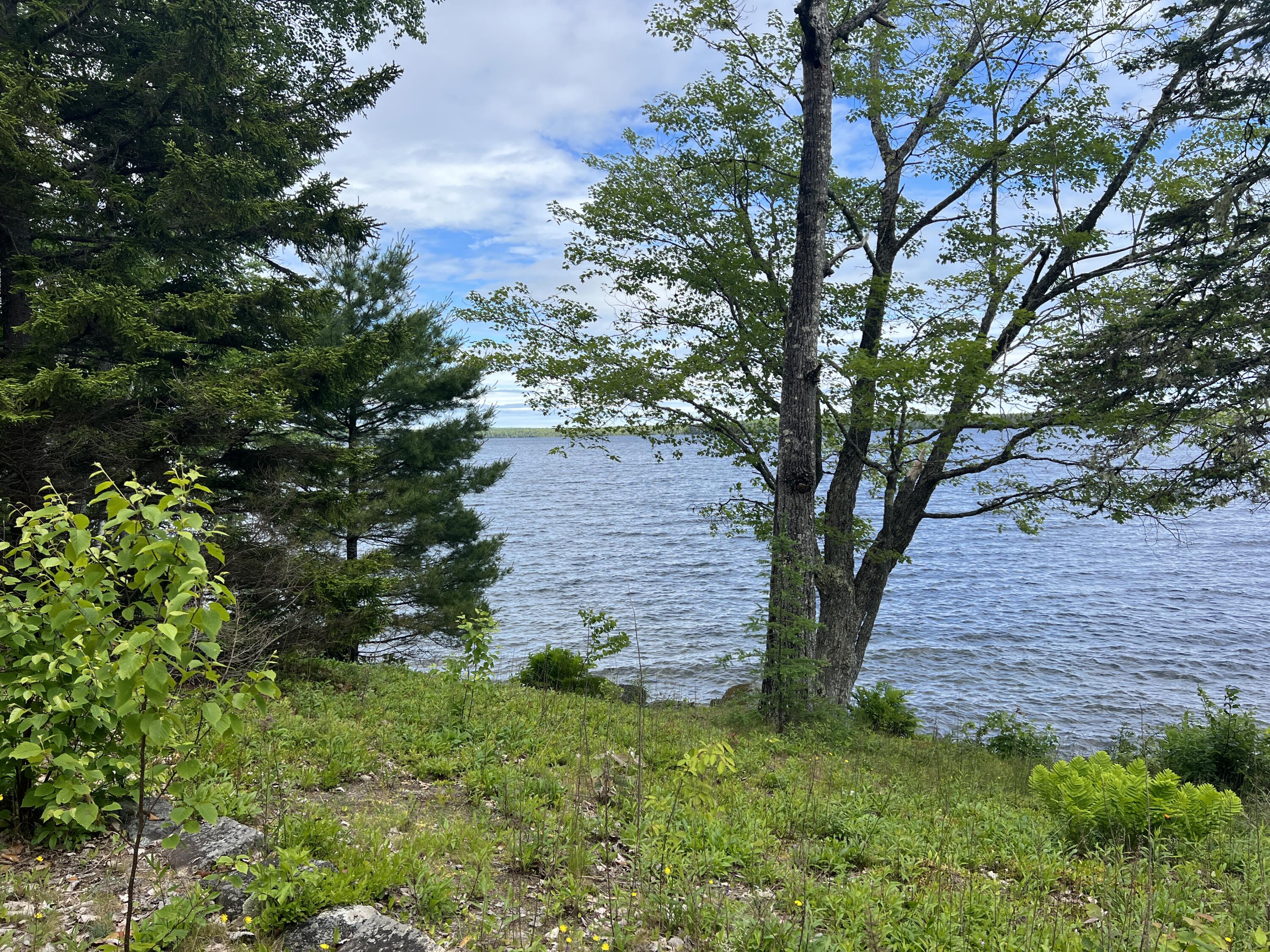 0 Lake Drive Cathance Township, ME 04657 - Photo 18 of 23 IMG_5443