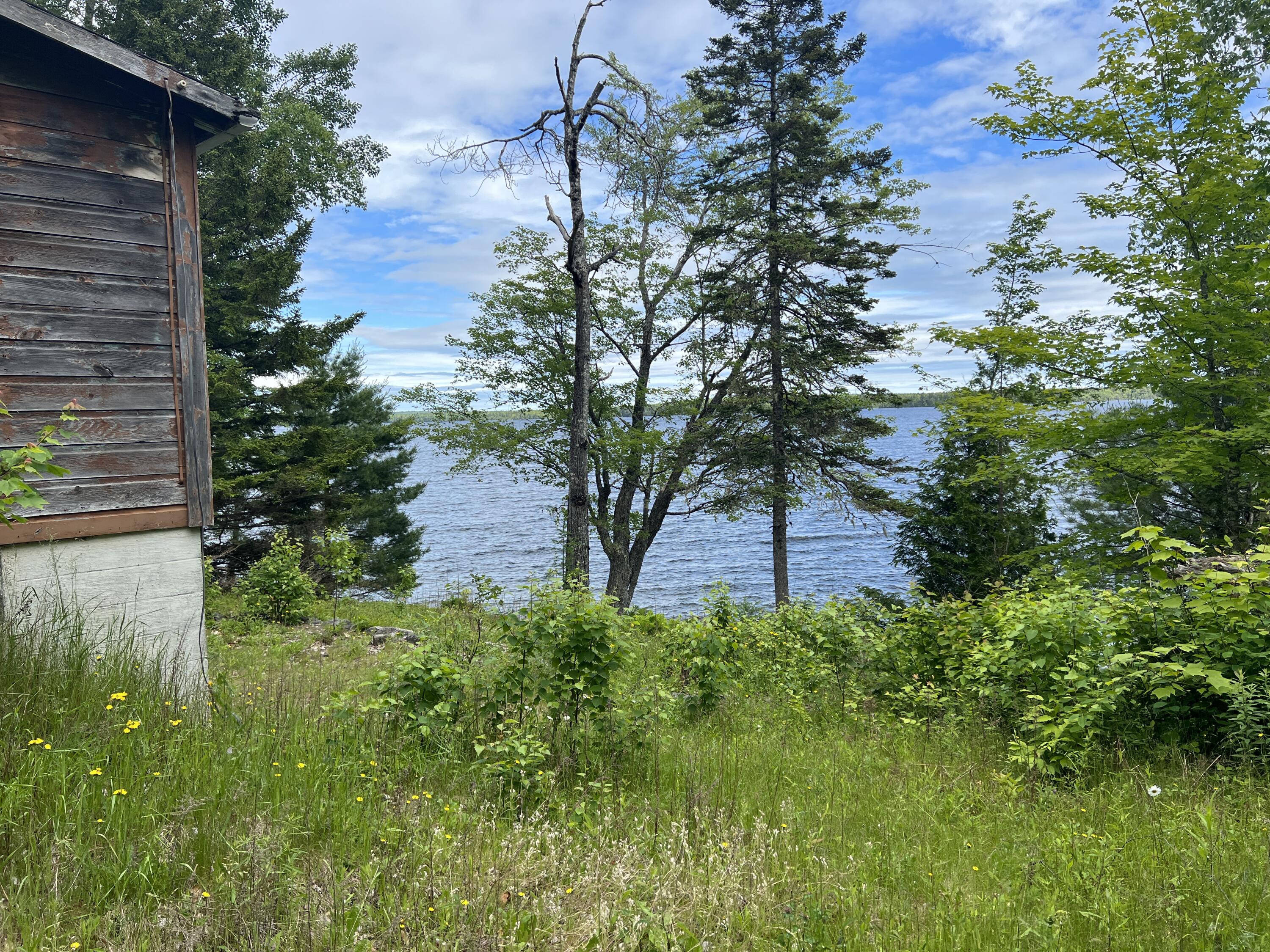 0 Lake Drive Cathance Township, ME 04657 - Photo 19 of 23 IMG_5442