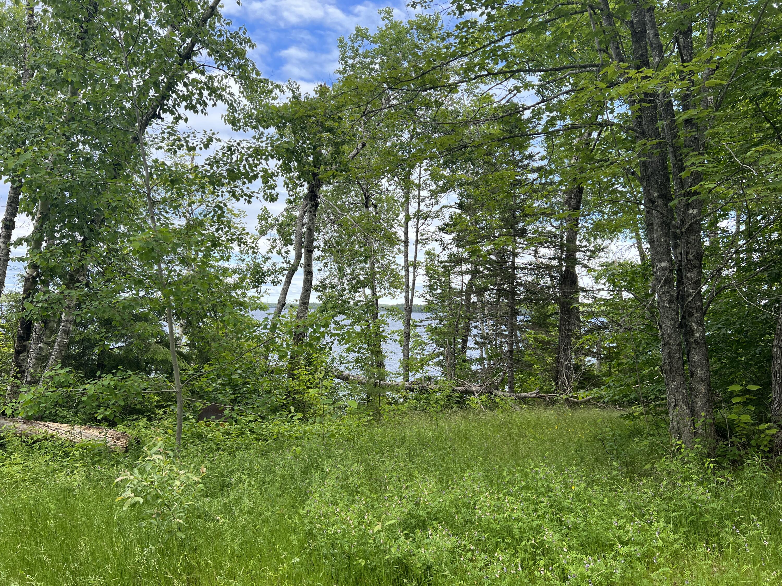 0 Lake Drive Cathance Township, ME 04657 - Photo 20 of 23 IMG_5441