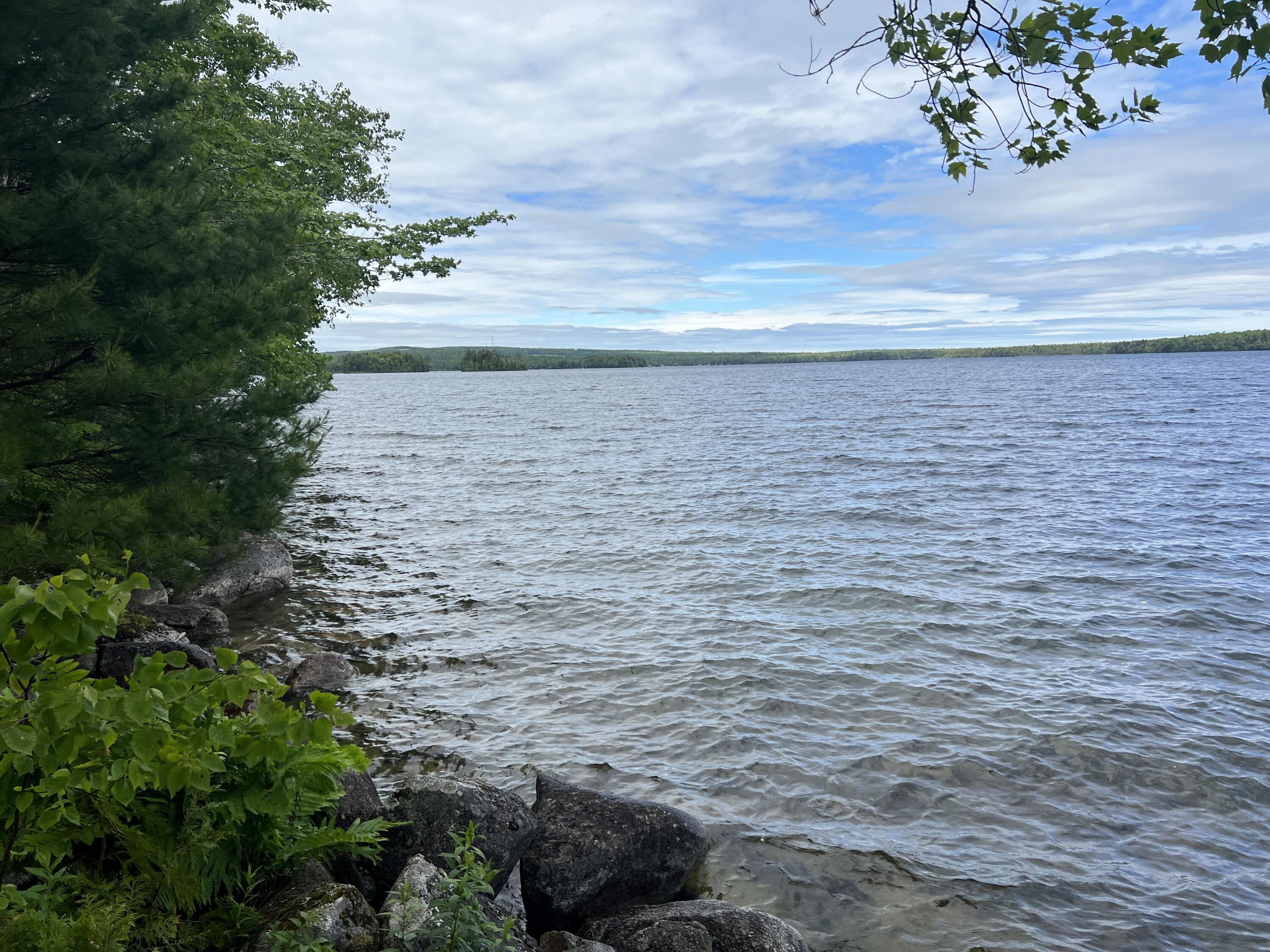 0 Lake Drive Cathance Township, ME 04657 - Photo 2 of 23 IMG_5447